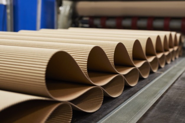 220816 LeonKopplow Jass 17733