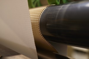 220816 LeonKopplow Jass 17851