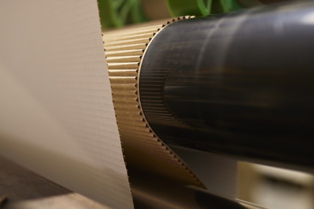 220816 LeonKopplow Jass 17851